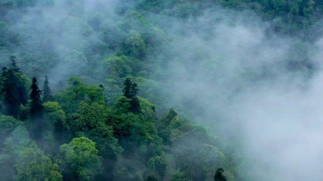 云南一司机卸货意外：连人带车滚下山崖的悲剧